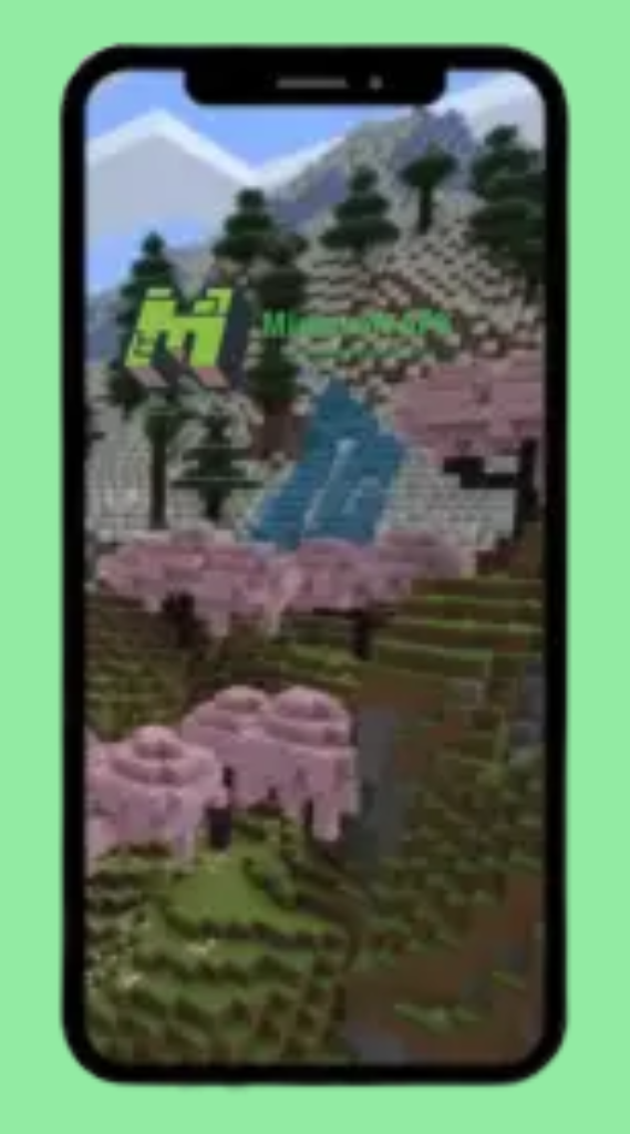 Safety and disclaimer note